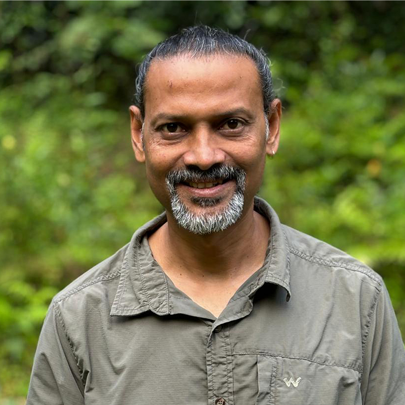 Dr. P Gowri Shankar